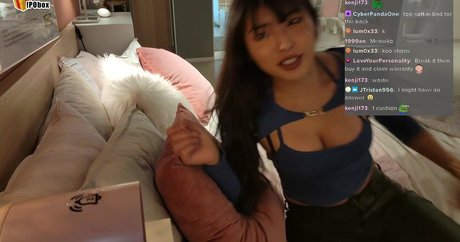 fans persans uniquement art parfait galeries