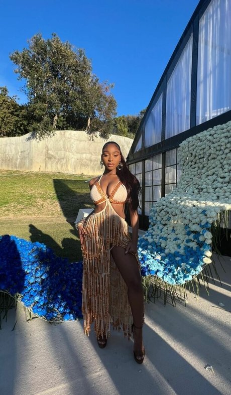 Normani modèle gratuit img