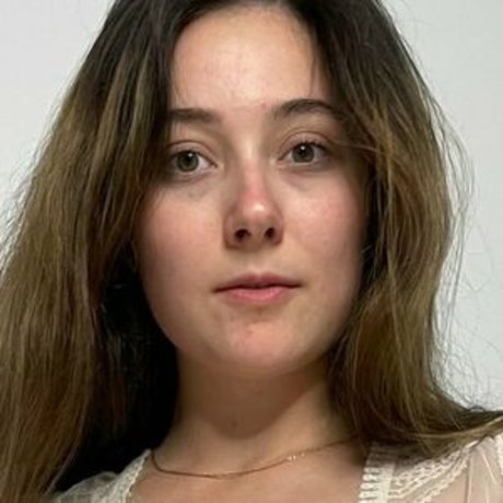 little lady 20 lady star du sexe collection