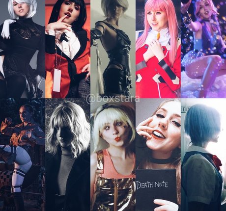 chaton potelé uniquementfans belle qualité photos