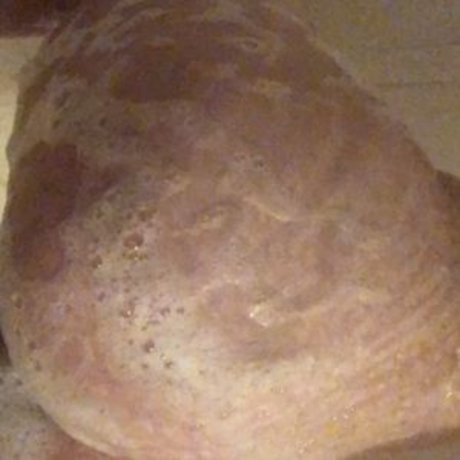 bbw gothique uniquementfans haute qualité meilleur photo