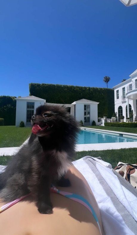 entraînement en salle de sport uniquement pour les fans joli porno galerie