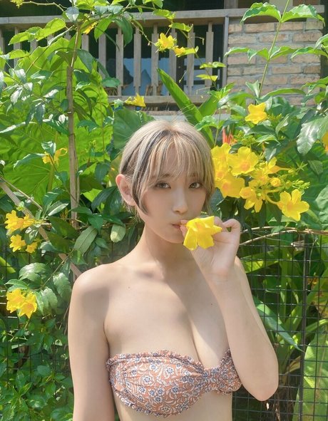 tsunko p star du porno chaude archive