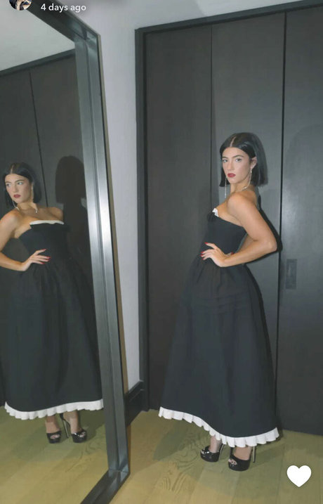 Charli D Amelio modèle pornographique archive