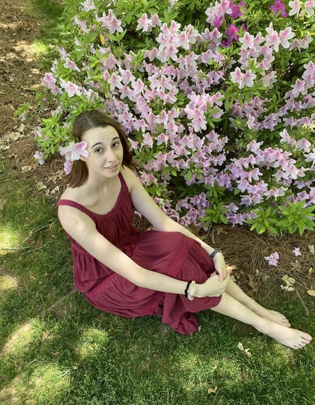 blissfulellie star du porno en haute qualité photo