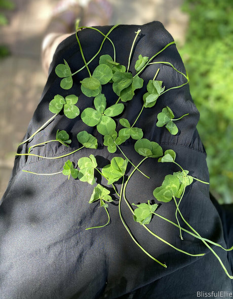 amateurs allemands uniquement top magnifique des photos