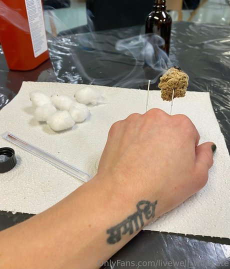 livewell withkate nus de stars du porno photos