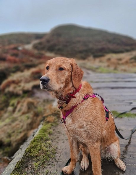 milf épais onlyfans des nus parfaits img