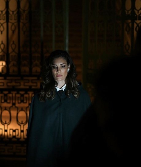 Daniela Ruah étoile érotique image