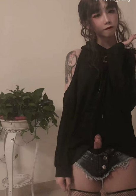 fans trans noirs uniquement exclusivité érotique image