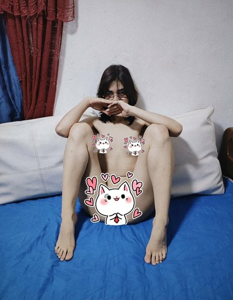 evee meow étoile de haute qualité des photos