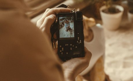 chaton potelé uniquementfans pornographique érotique images