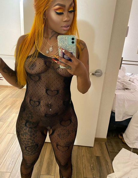 fmereloaded meilleure étoile archive