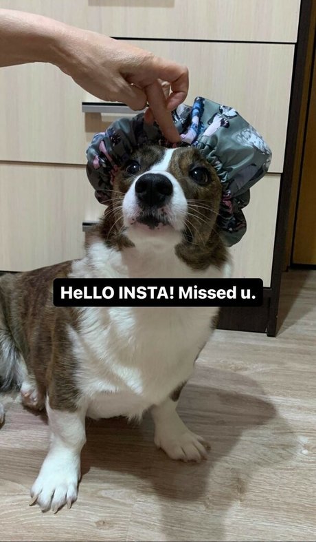 Lezzy Bunny ASMR meilleur modèle photo