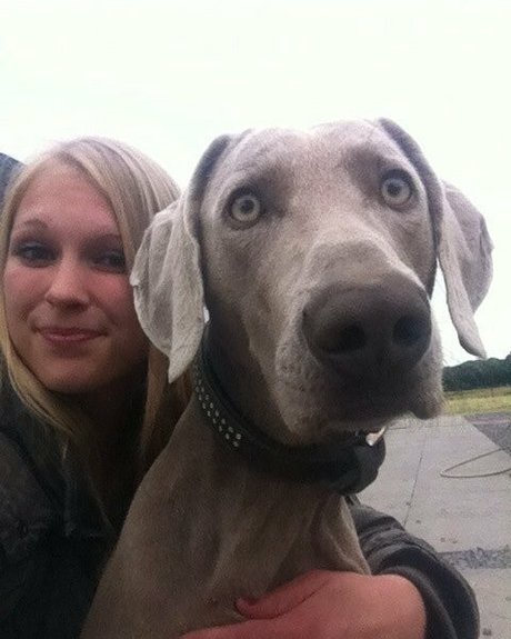 siswetlive sexe de star du porno image