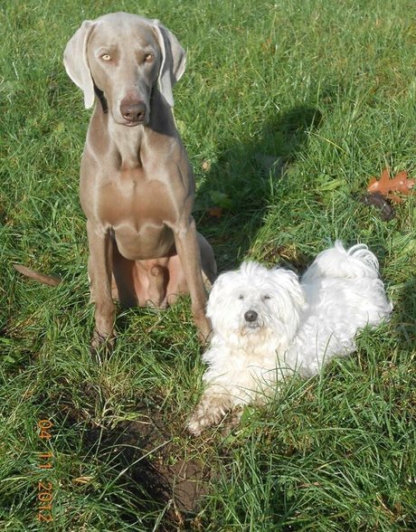 fans danal épais uniquement sexe sympa images