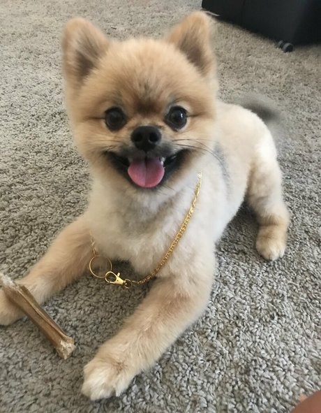 siswetlive star du porno parfaite galeries