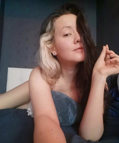 chaton potelé uniquementfans top jolie image