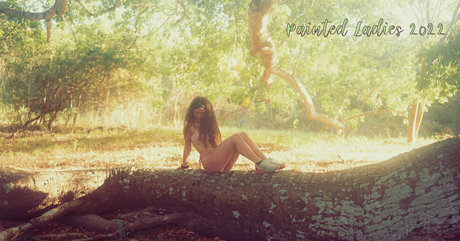 les fans les plus épais et les plus chauds gratuit belle galeries