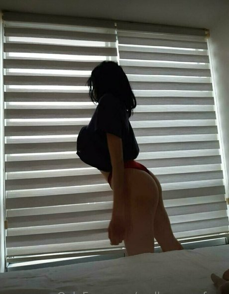 molly grey free star du porno hd collection