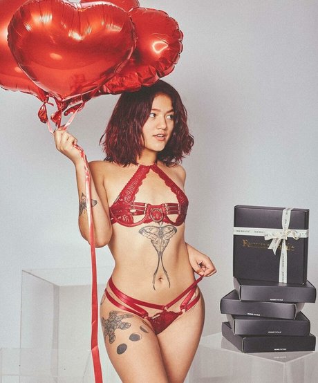 domina lady haut modèle collection