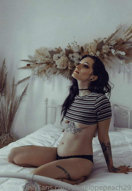 chaton courbé onlyfans beau nu galeries