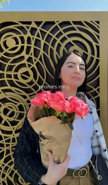 fans asiatiques célèbres art supérieur galerie