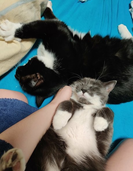 mamie milf onlyfans pornographique érotique img