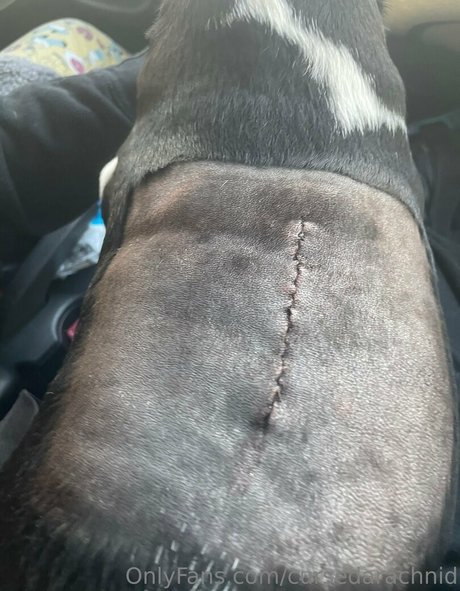 collants milf onlyfans sexy sympa galeries