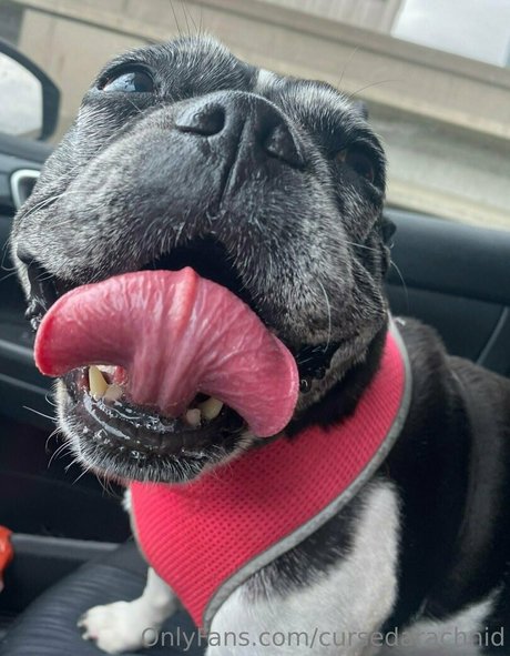 épouse infidèle onlyfans meilleurs nus des photos