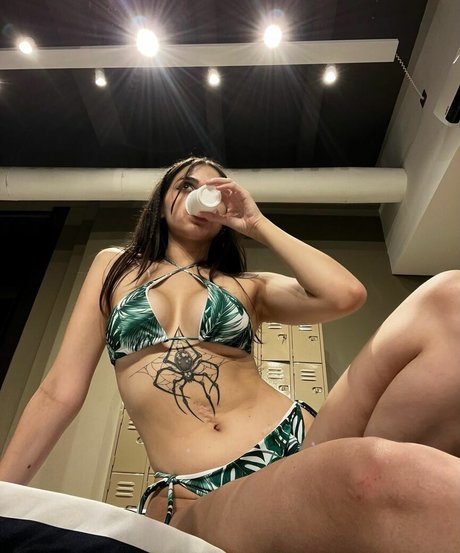 iaaras2 modèle exclusif image