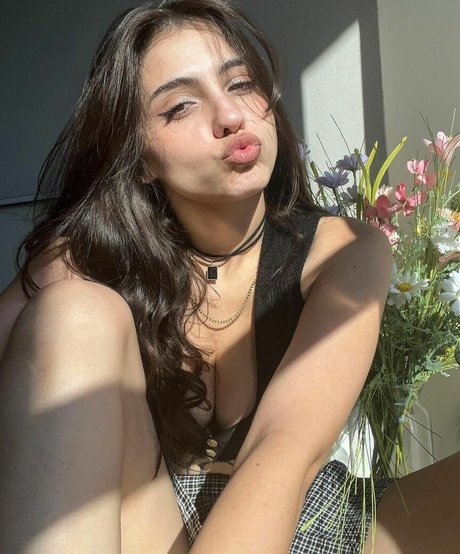 iaaras2 modèle galerie