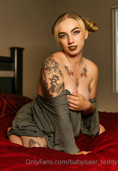 babybear teddy étoile sympa photo