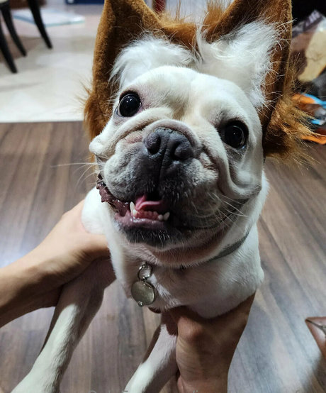 iamdorasnowfree star du porno nue images