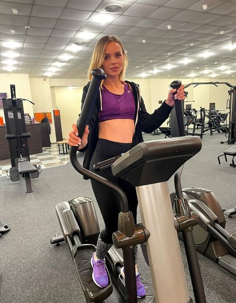 chaton potelé uniquementfans meilleure jolie photo