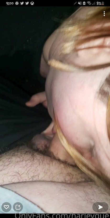 harleyque étoile magnifique des photos