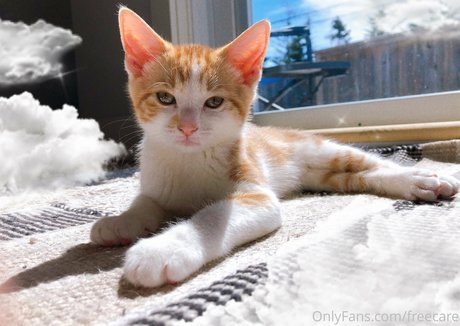 enceintes soumises onlyfans haute définition érotique des photos