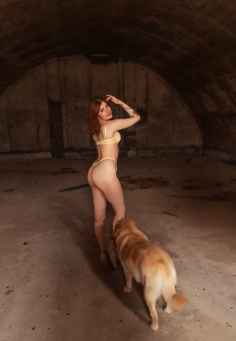 freecare nus étoiles galeries