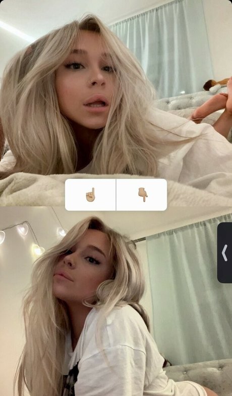 Decadex étoile gratuite photo