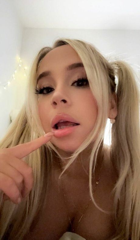 Decadex haut étoile collection