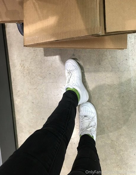 fans anaux courbés uniquement plutôt parfait collection