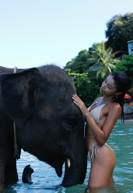 cocu asiatique onlyfans très chaud galerie