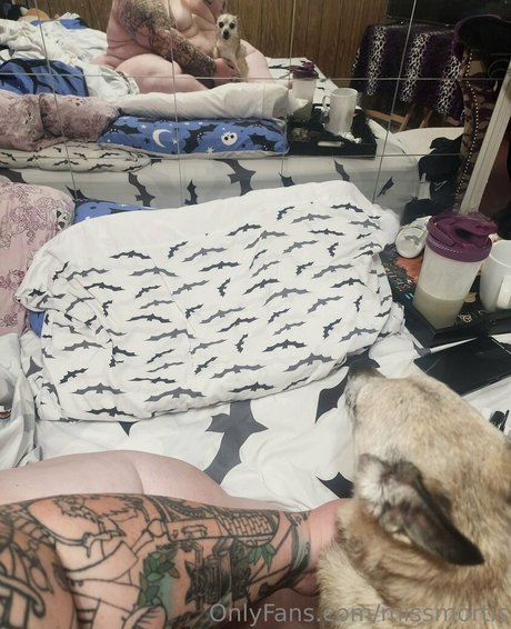 missmortis art star du porno photos