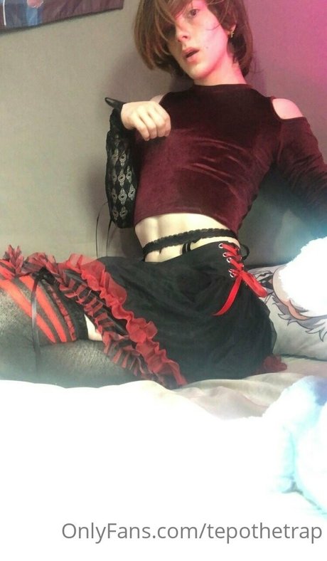 tepothetrap star du porno collection