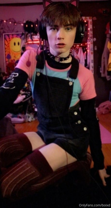 boixd étoile nue galerie