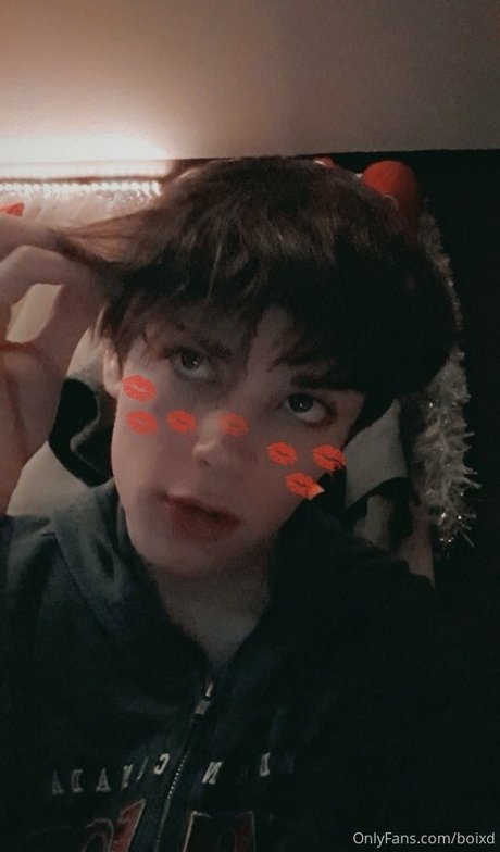 boixd modèle images