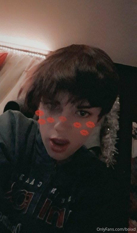 boixd modèle exclusif galerie