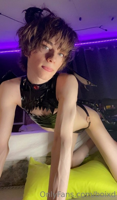 boixd top star des photos