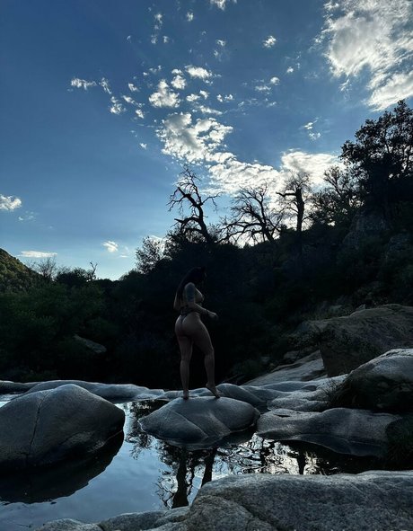 chaton potelé uniquementfans art supérieur img