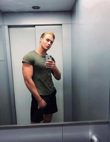 thonygreyfree étoile adulte img